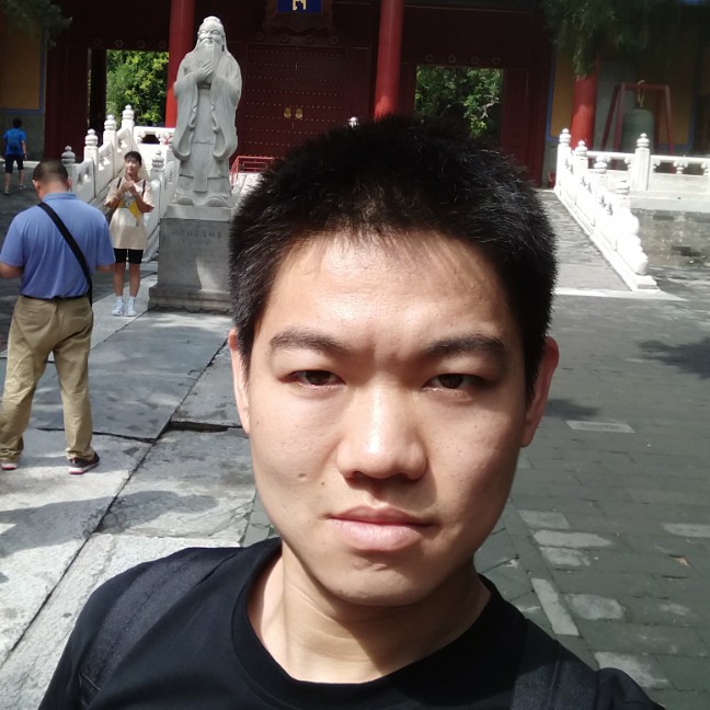 树叶听话的照片