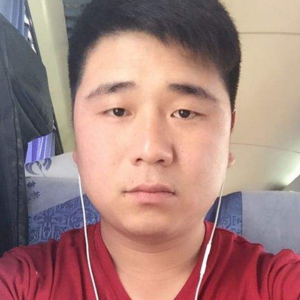 到处穿梭的照片