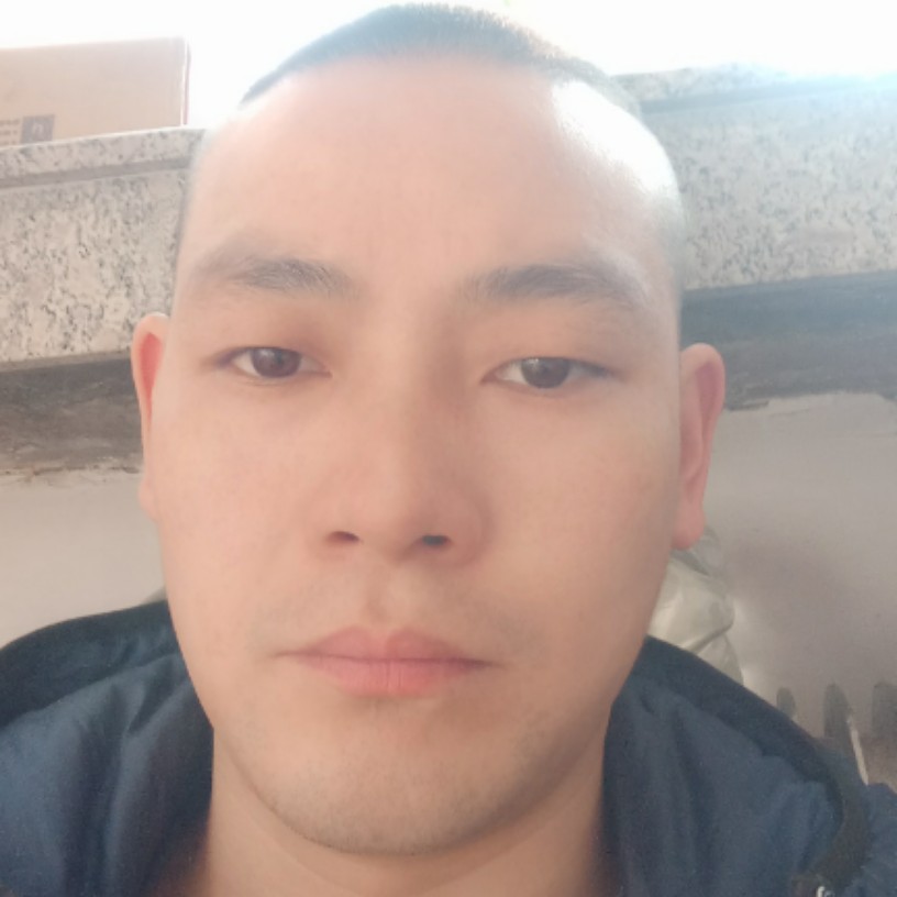 孤独的蛇的照片