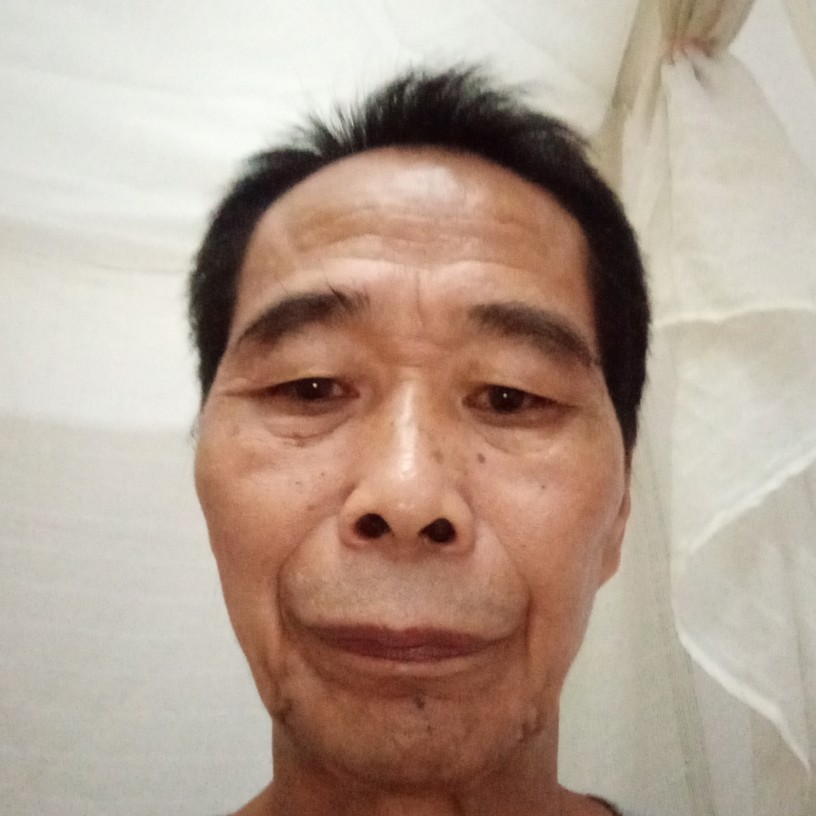 花卷苦恋淡然的照片