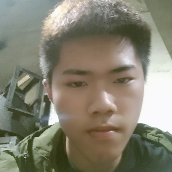 南城柳絮飞的照片