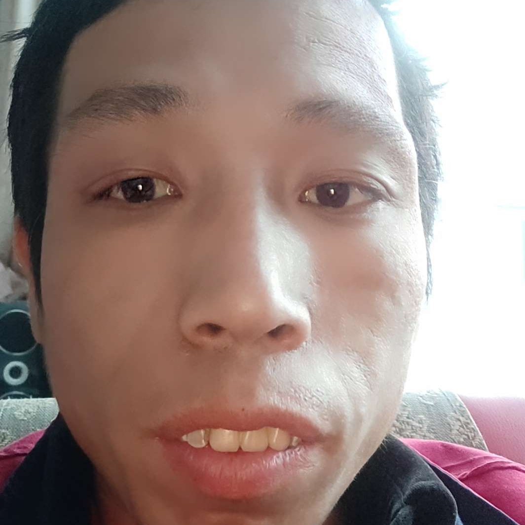 自由的枫叶的照片