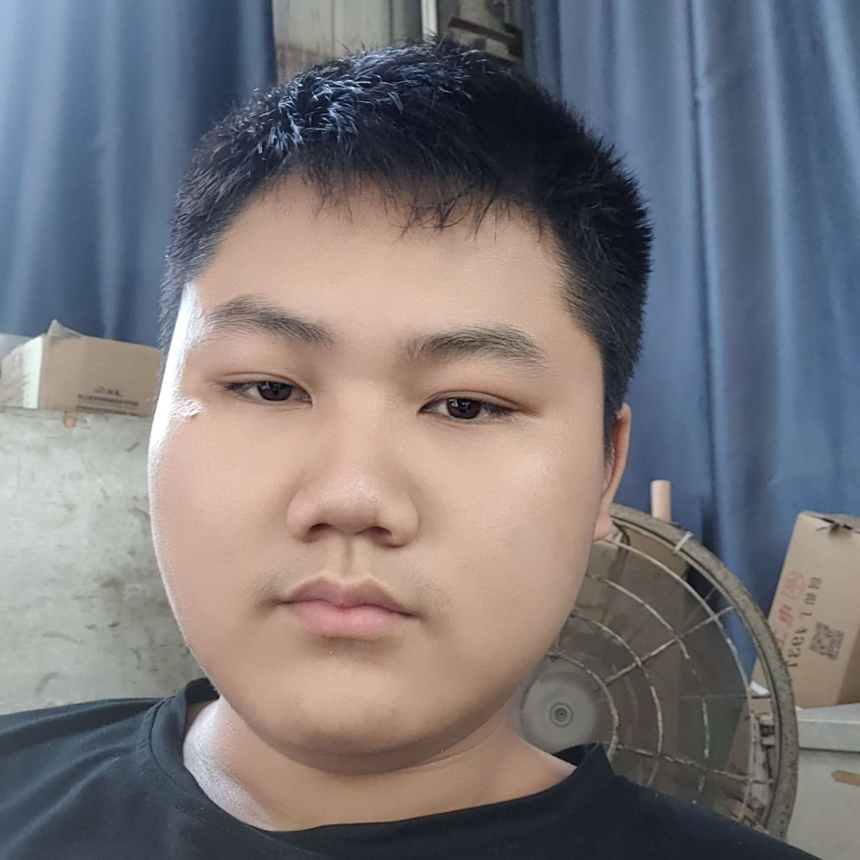 怕孤单愿惊鸿的照片