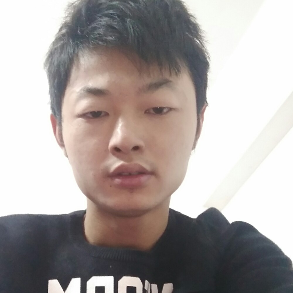 高高迎树叶的照片