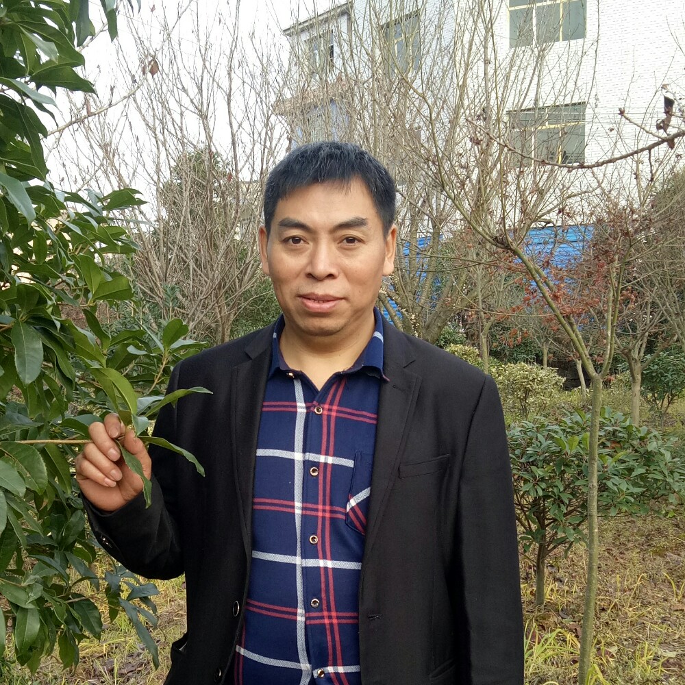 3546的照片