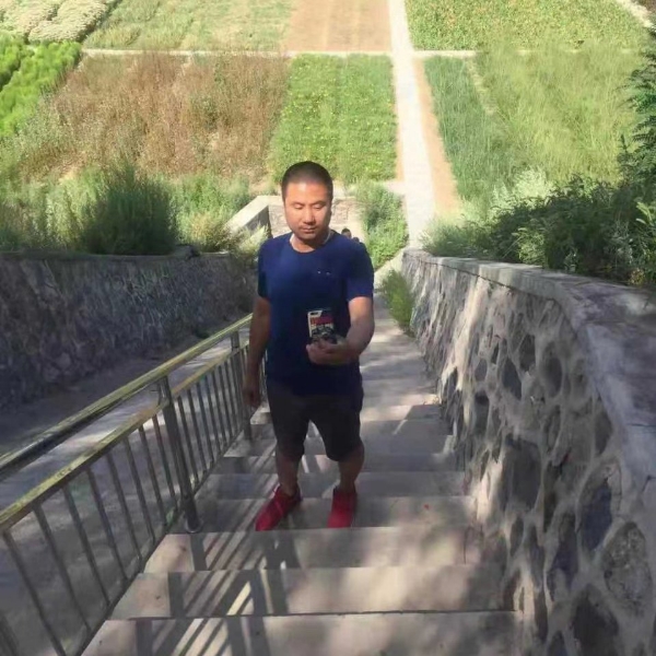 海燕蹙眉霸气的照片