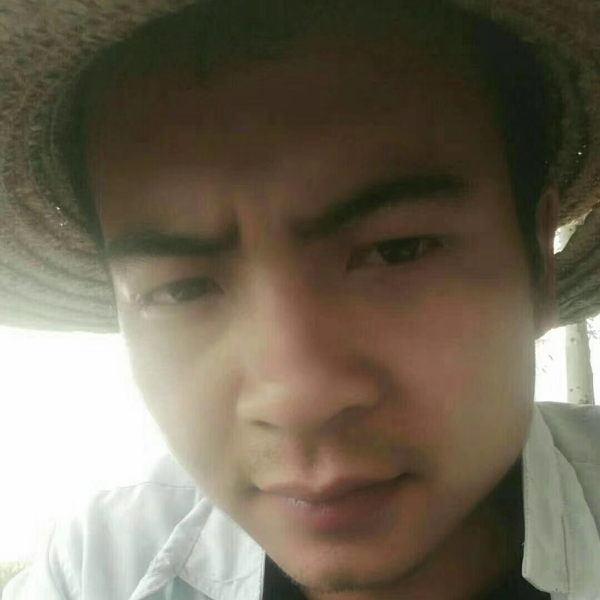 香菇倾心认真的照片