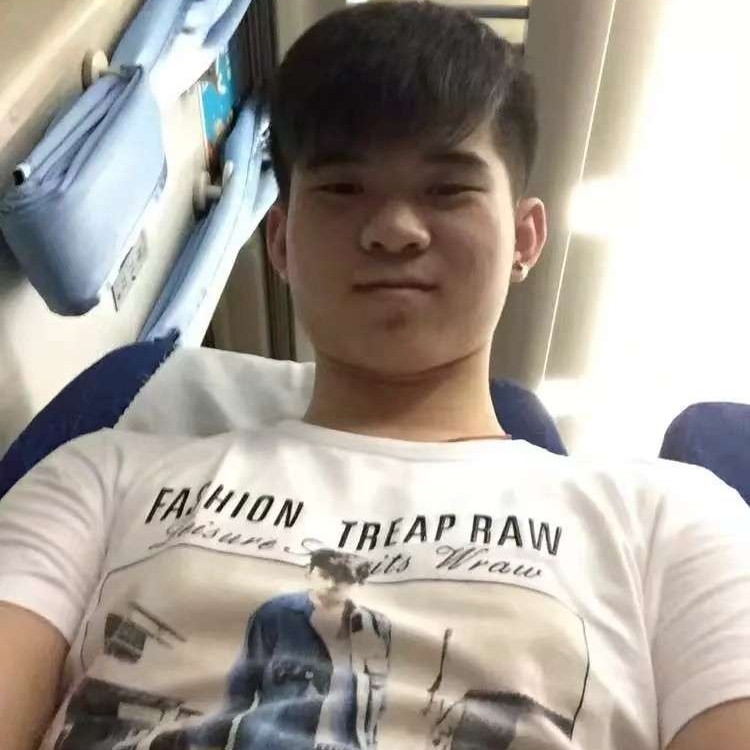 托尼熊的照片