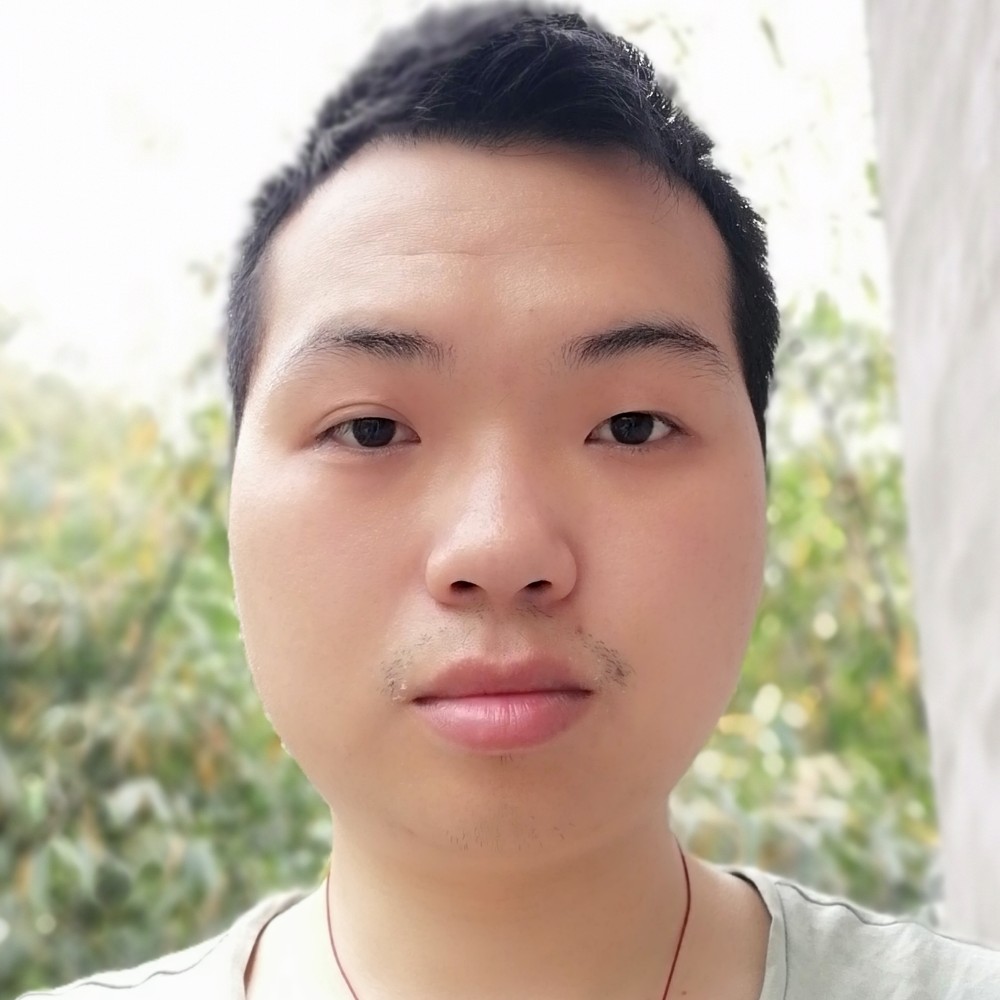 小海豚动人的照片