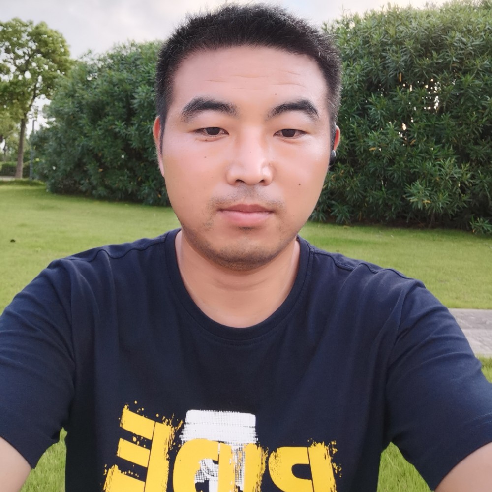 漂泊的翅膀的照片