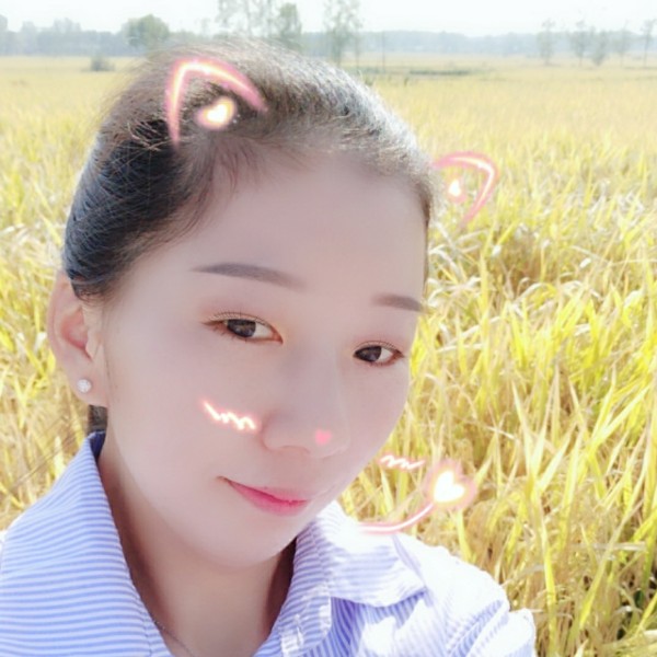 奇异果鳗鱼的照片