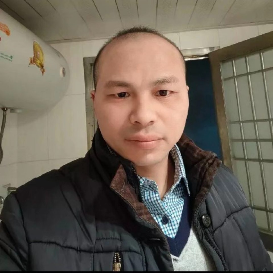 高贵漫步羽毛的照片