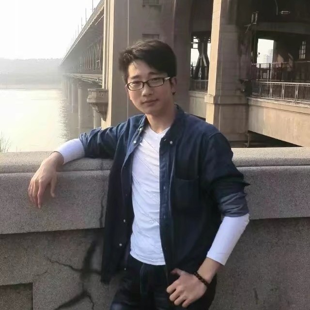热带沼泽的照片