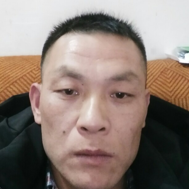 霸气洋葱的照片