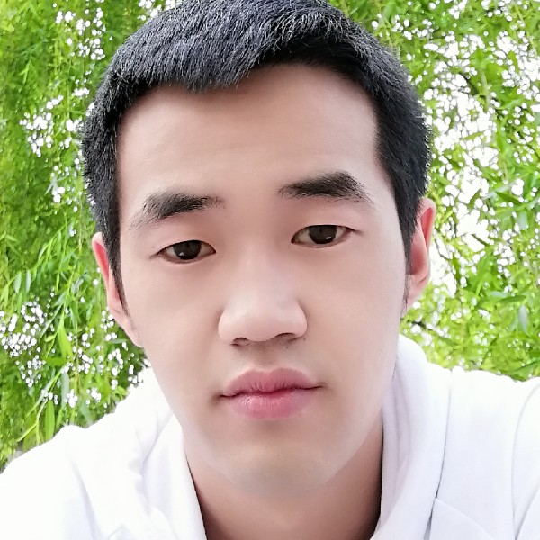 鹏鹏永远陪伴你的照片