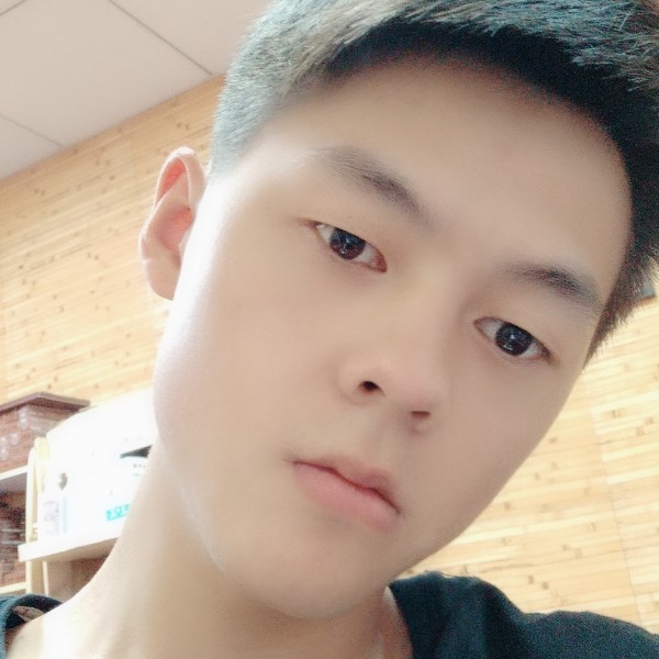 枫叶的照片
