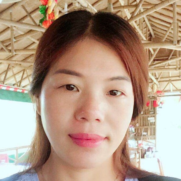青松翠竹的照片