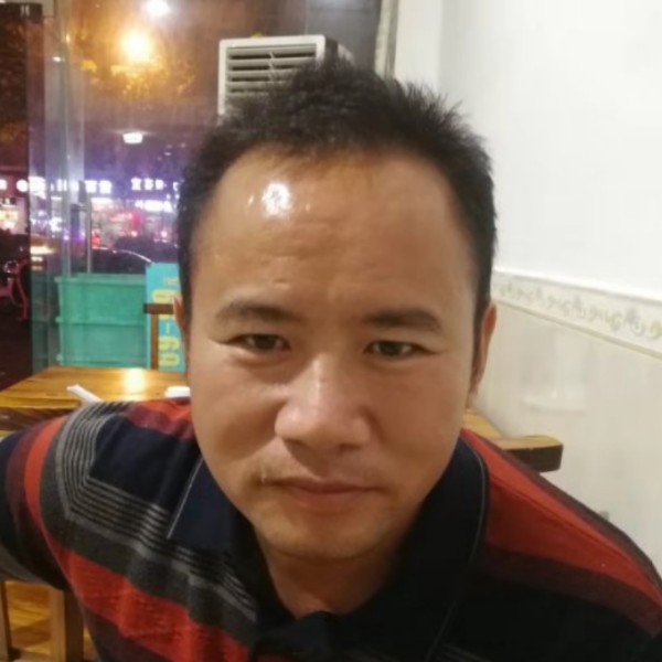 飘摇的风的照片