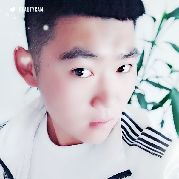 呆萌清曲的照片