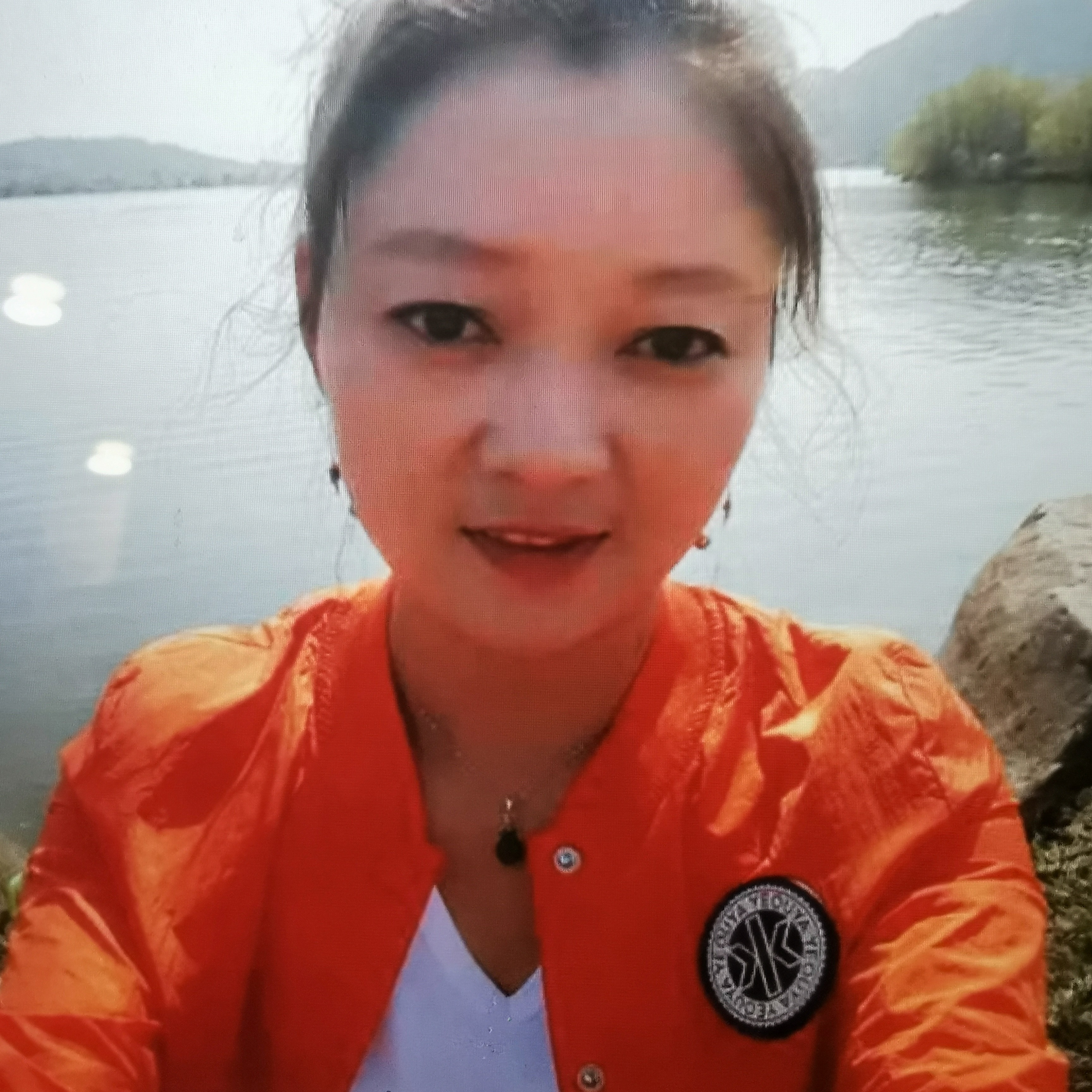 灰狼改变落寂的照片