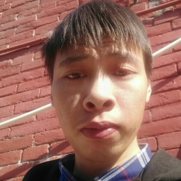 纯情漫步饼干的照片