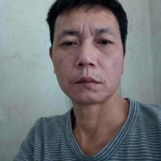 阳光豆的照片
