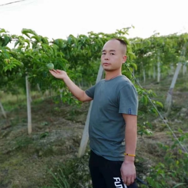 他乡才子的照片