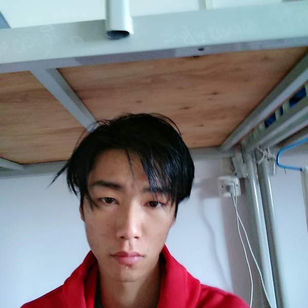 错落邂逅板栗的照片