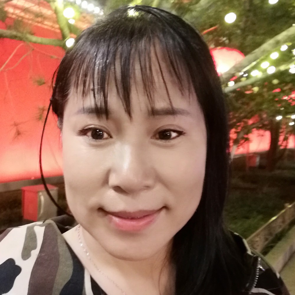 梧桐与丹凤的照片