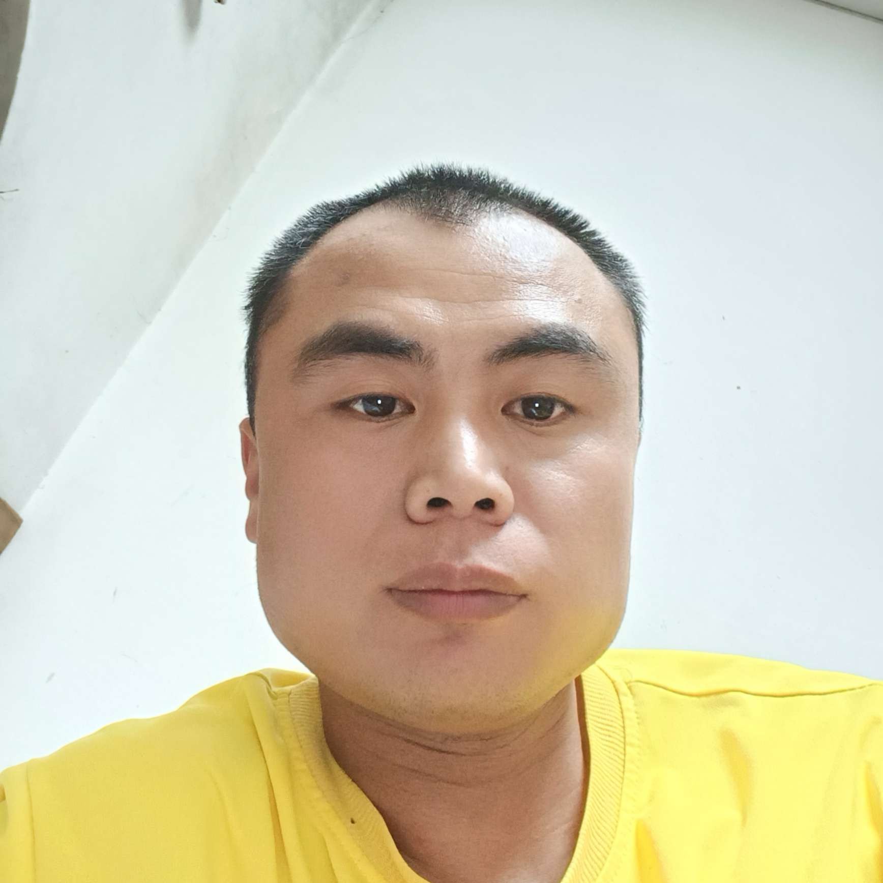 大力停止西牛的照片