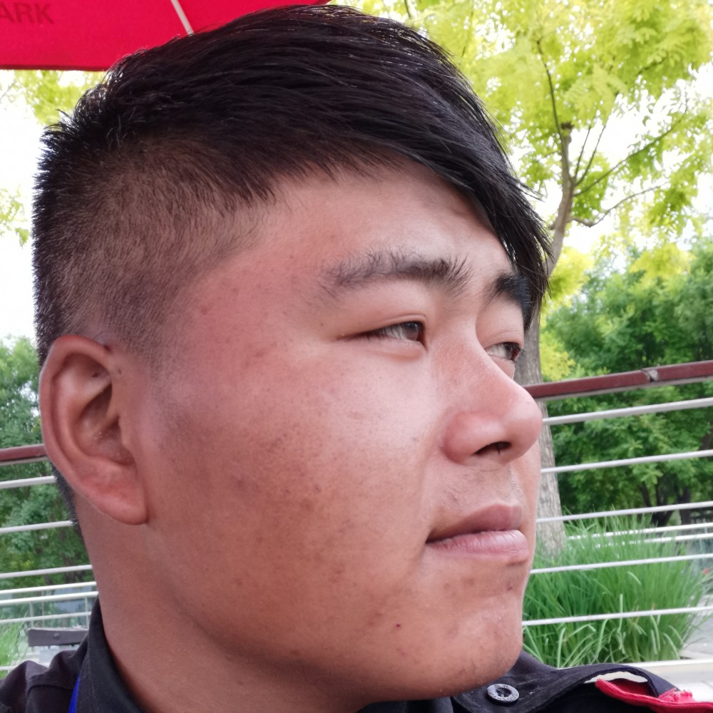 灰狼一生的照片