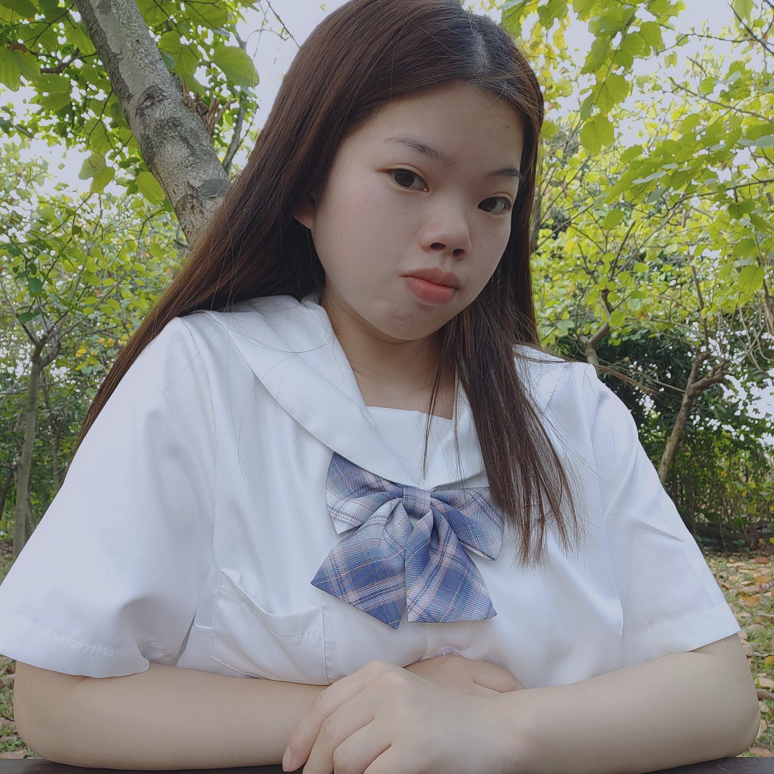 析木的照片