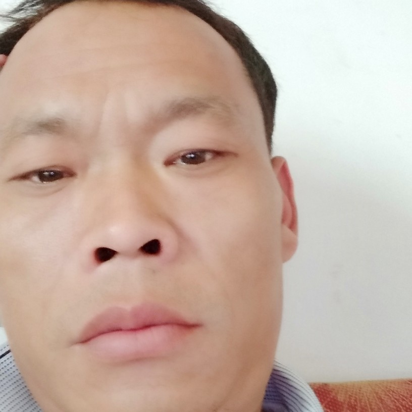 洋葱的难过的照片