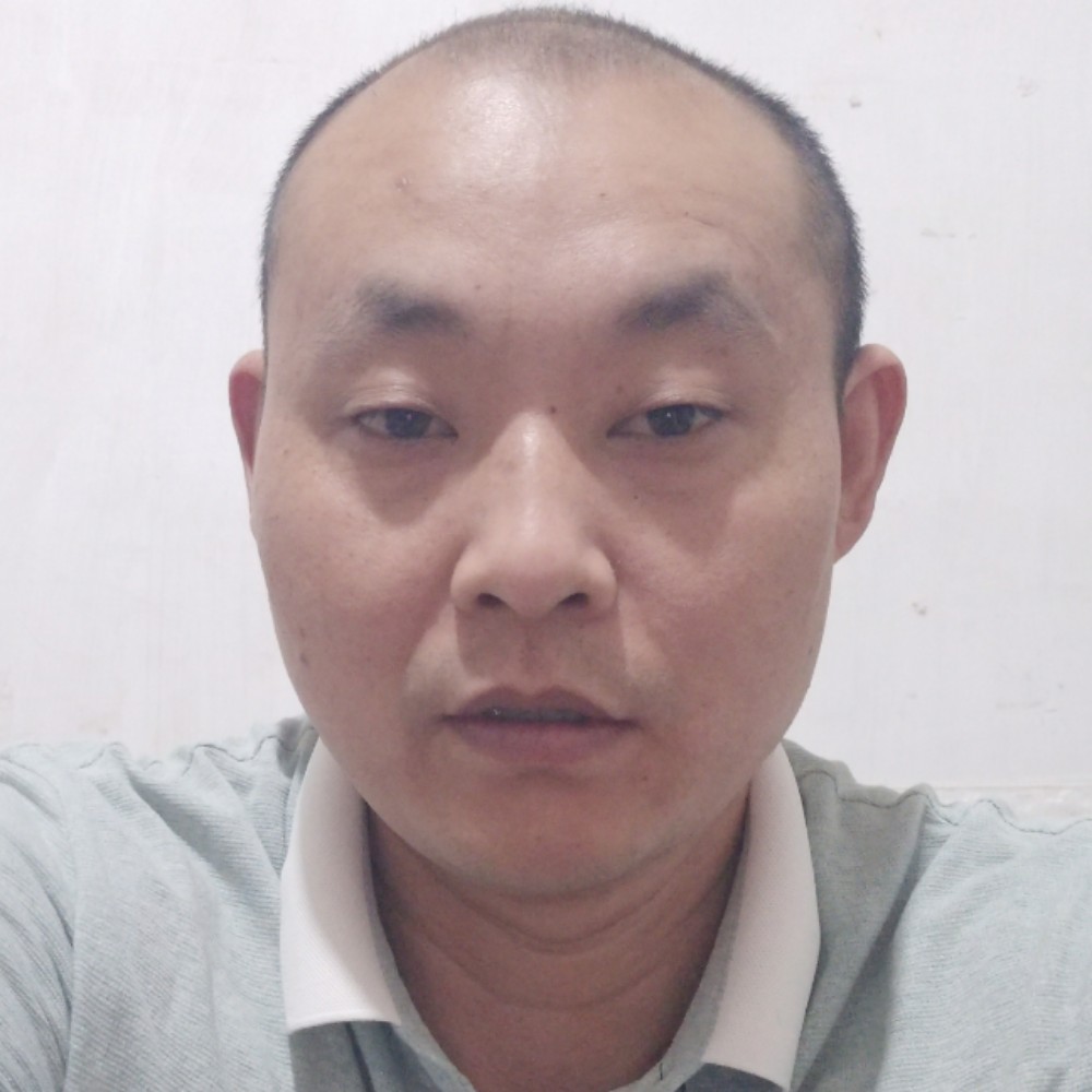 鸭子危机的照片