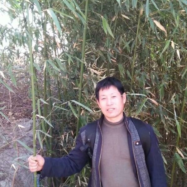烂漫小懒虫的照片