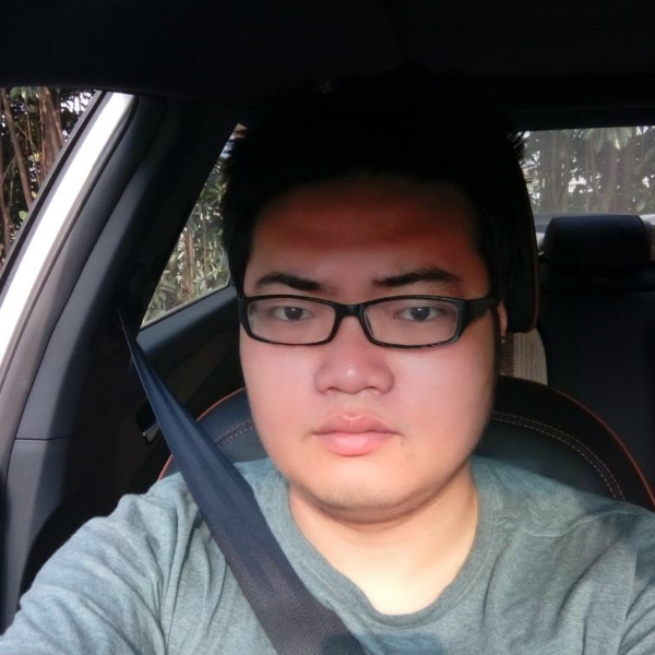 健康小刺猬的照片