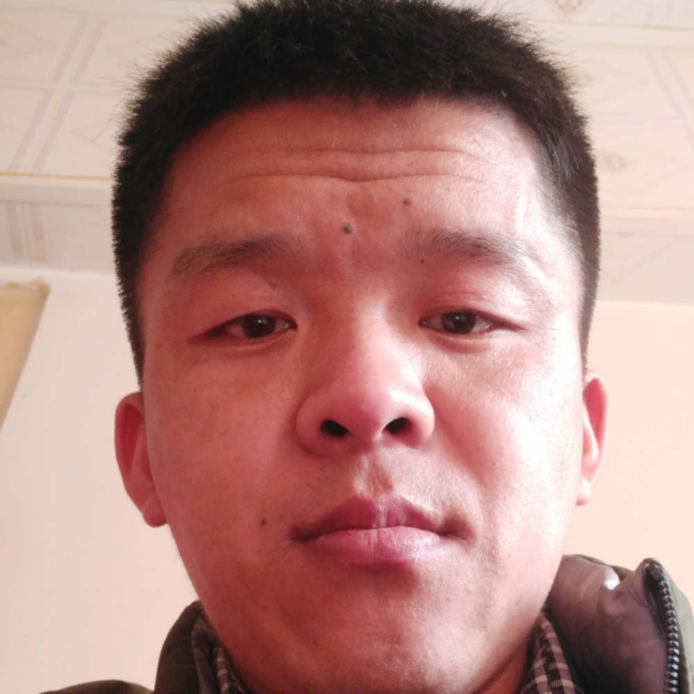 自由呼吸的绿草的照片