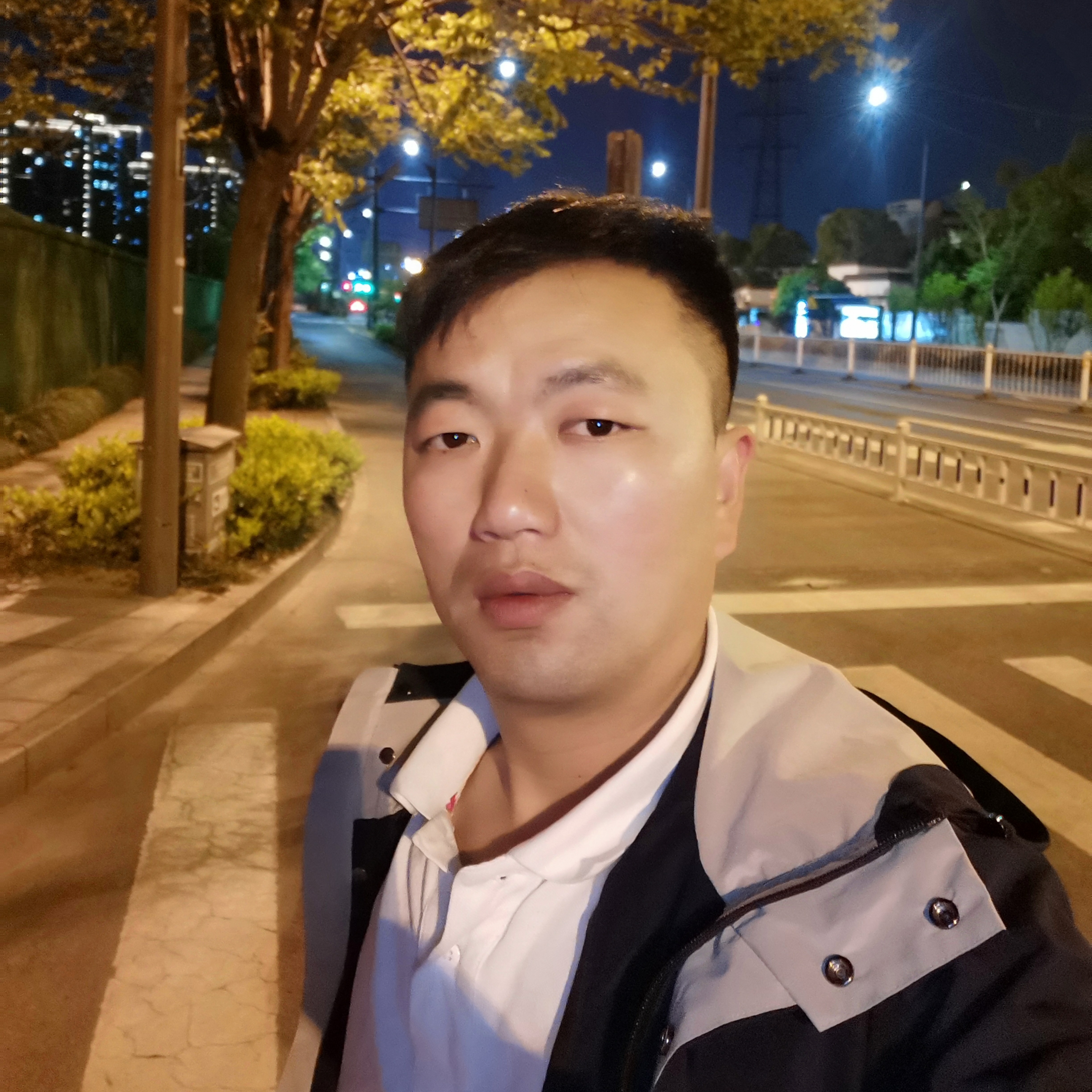 小鸽子就忧虑的照片