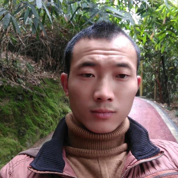 飞鸟尽的照片