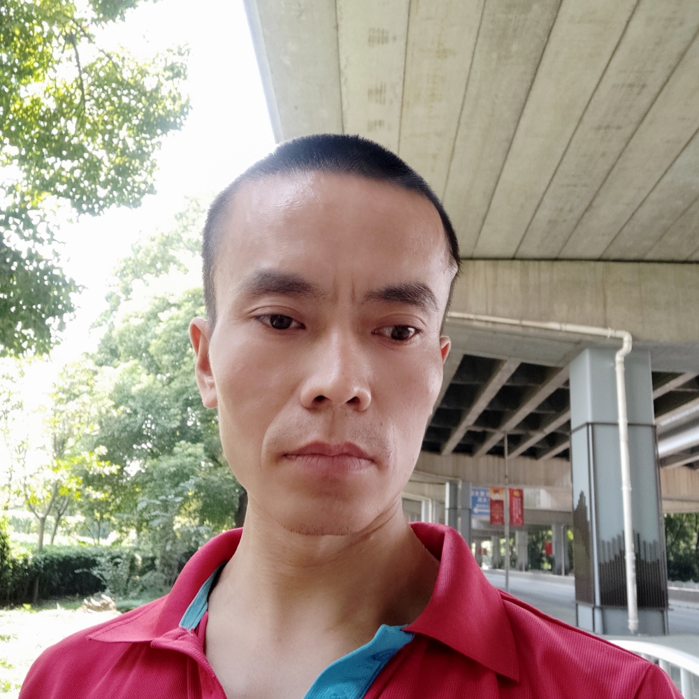 香蕉笑小猫咪的照片