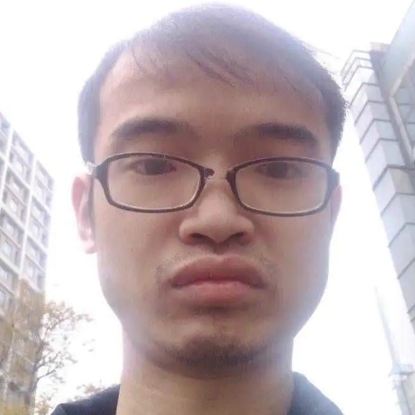 落叶无根的照片