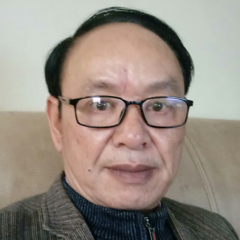 鸵鸟酷酷的照片