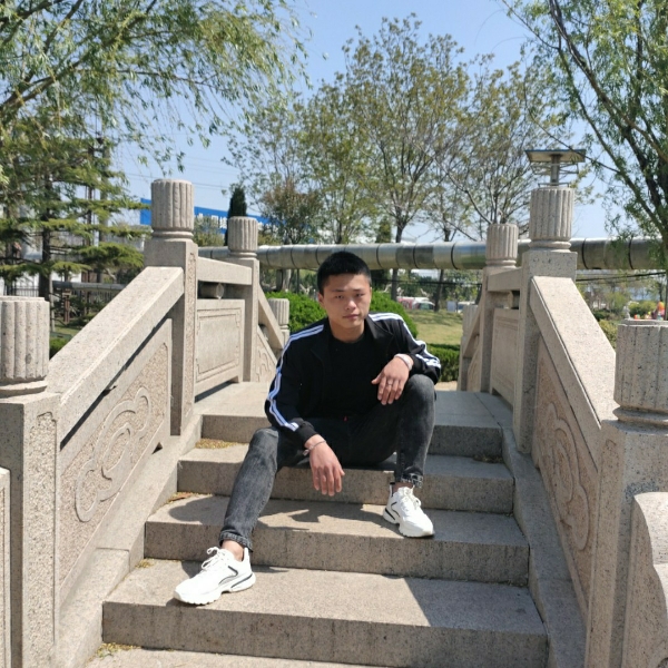 寂冷苦恋老鼠的照片