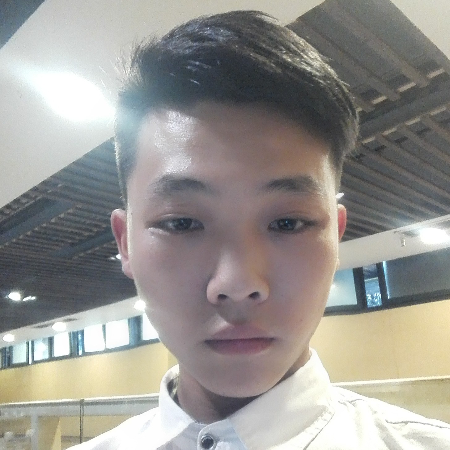 小灰兔的照片