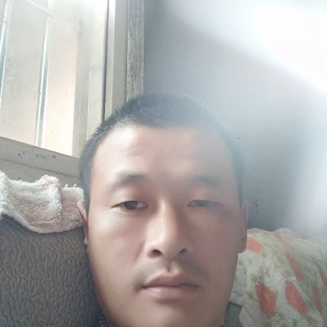 逐风优秀的照片