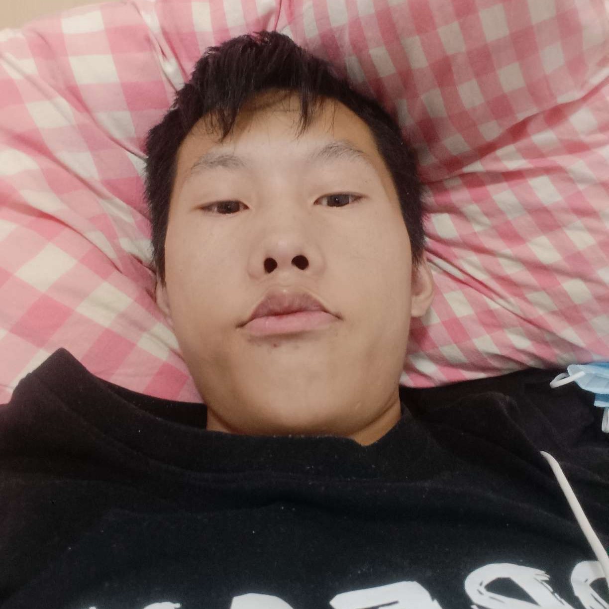 老虎俊逸的照片