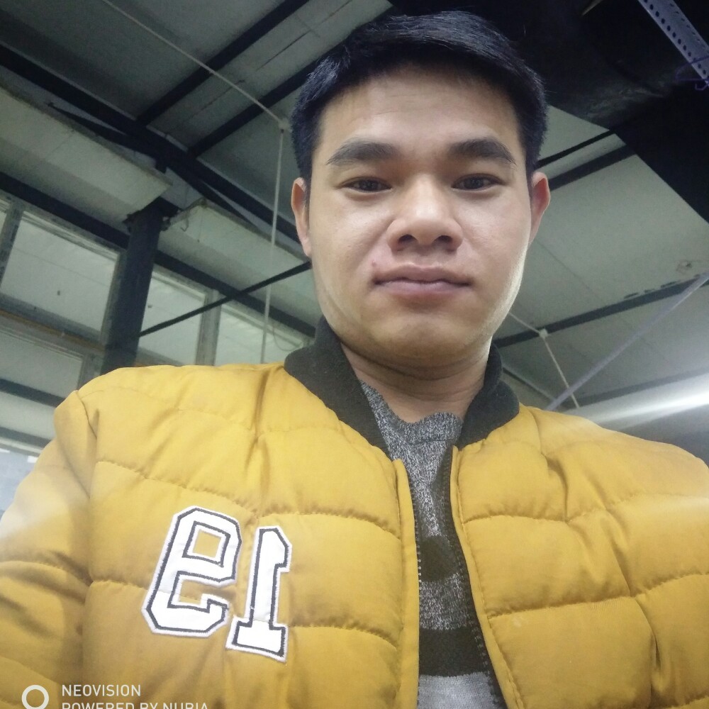 重要小蚂蚁的照片