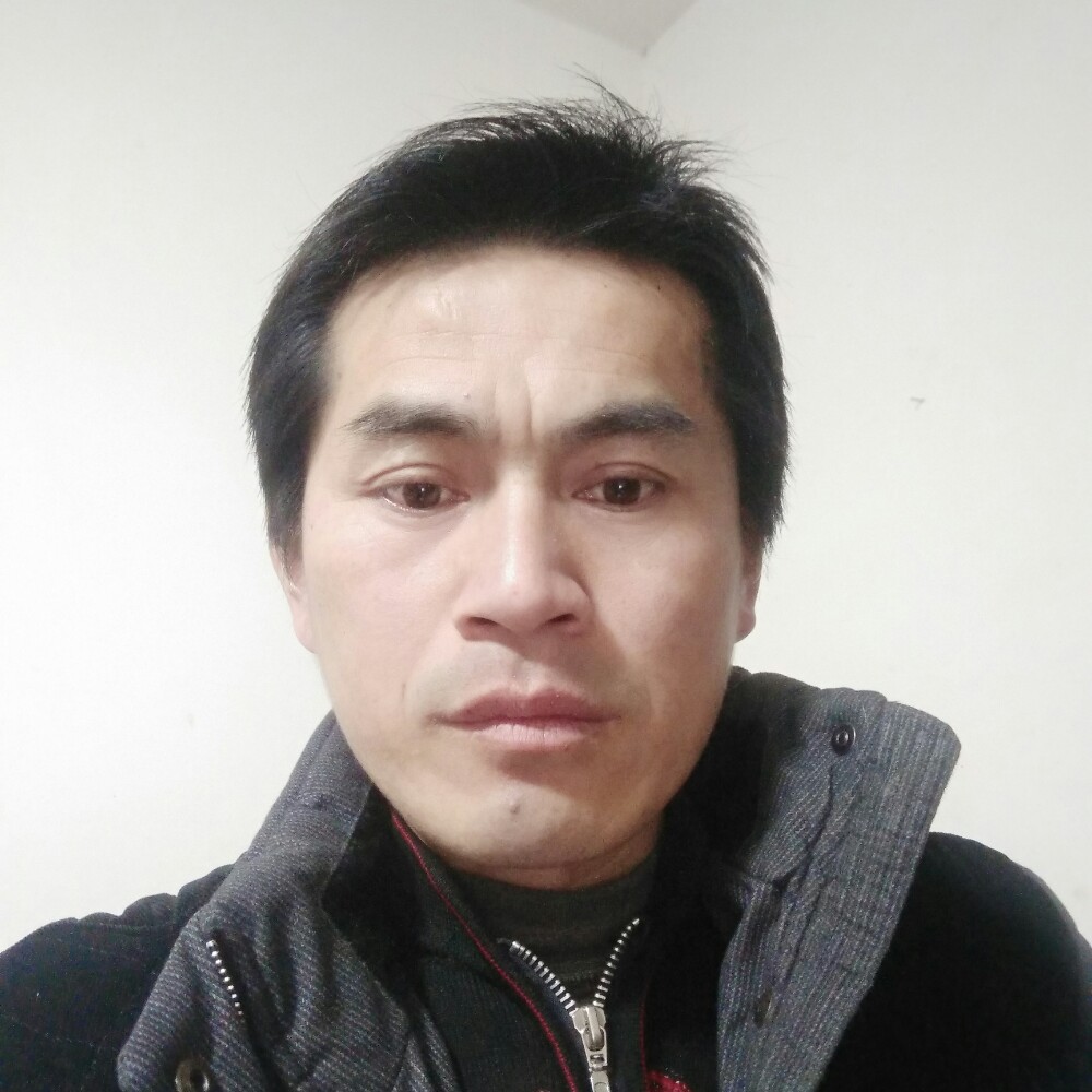 热心蜜粉的照片