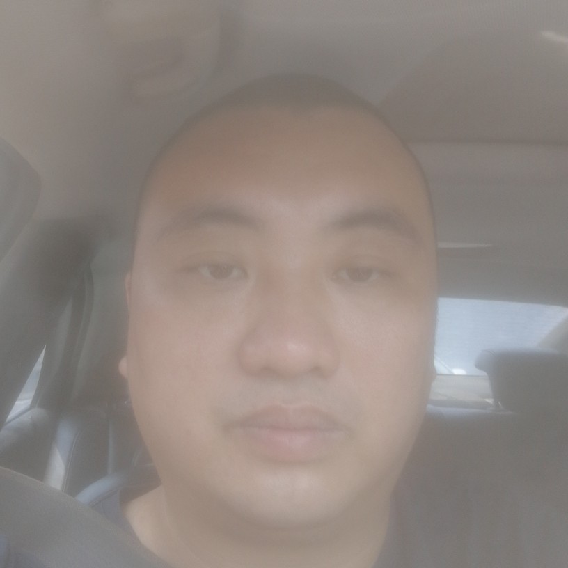 狗勤劳的照片
