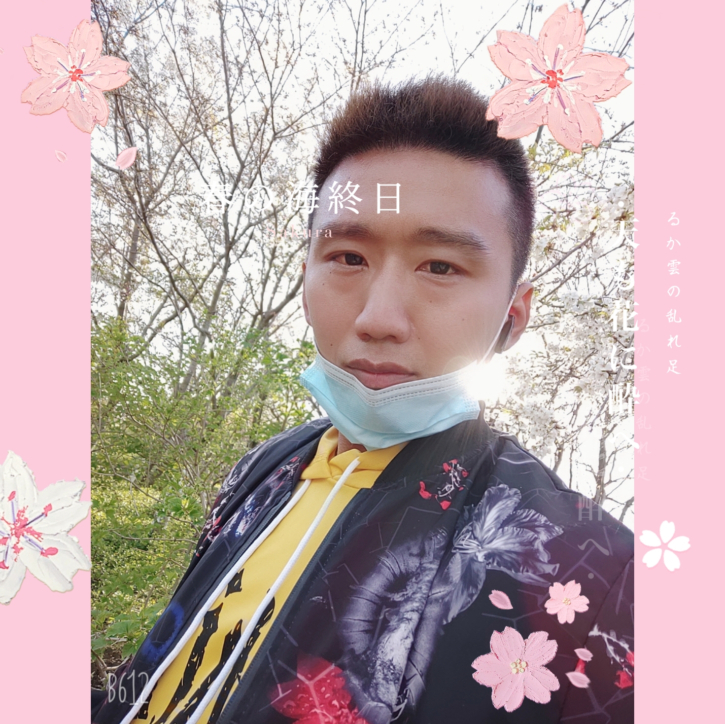 吐司和谐的照片